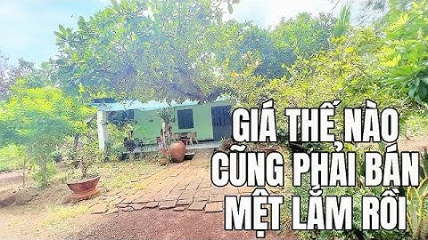 CON CÁI NỢ NẦN QUÁ NHIỀU RỒI BA MẸ THÌ KHÔNG CÓ KHẢ NĂNG LÀM RA TIỀN NÊN CẦN BÁN GẤP TRẢ NỢ