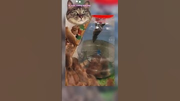 Dụng cụ Bẫy chuột thông minh bằng bình nước lọc tự chế rất hiệu quả #bẩychuột