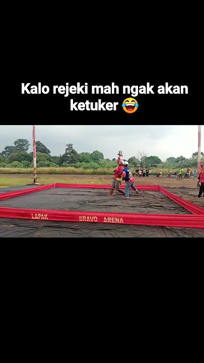 🔴kalo 'REJEKI' gak kemana‼️#merpati #merpatilampung #team #merpatikolong #merpatiku #rindu