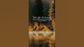 🤲 #القرآن_الكريم #cute تلاوة خاشعة من الذكر الحكيم لا حزن يبقى والقرآن يتلى #duet #اكسبلور