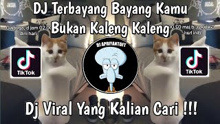 DJ TERBAYANG BAYANG KAMU TREND KUCING JOGET | DJ BUKAN KALENG KALENG BY ARYA FVNKY VIRAL TIKTOK 2024