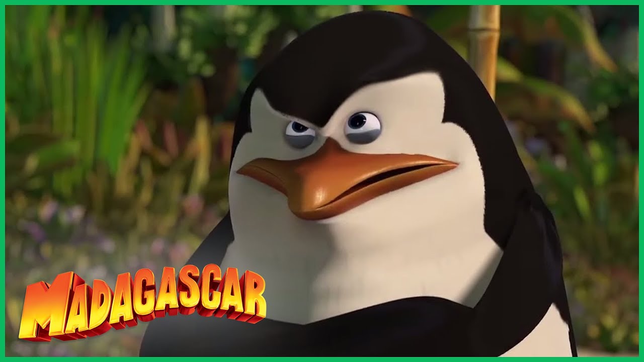 ⁣DreamWorks Madagascar em Português | O Melhor dos Pinguins | Desenhos Animados