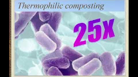 Compost 101 What is Compost Composting Biology and Core Principals