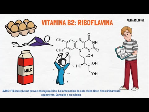 Video: ¿Qué hace la riboflavina por el cuerpo?