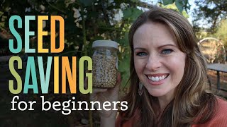 Save Money by Saving Seed  Tips for Beginners