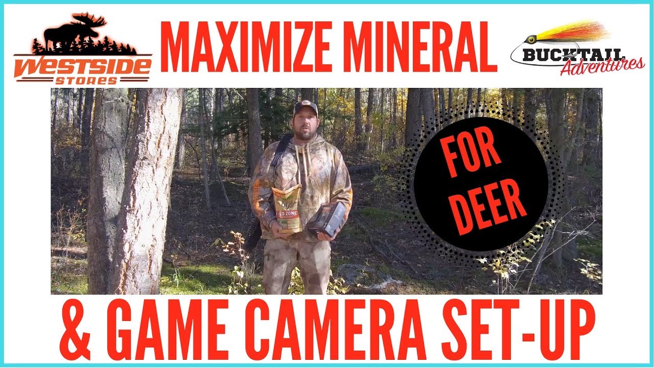 MAXIMIZE MINERAL AND GAME CAMERA SETUP FOR DEER YouTube
