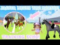 ✨JASPER MEETS THE HORSES!🐎Training Echo + Vet check!💉 Roblox Horse Valley RP | Episode 53