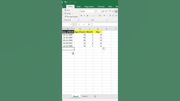 #Shorts | How to Calculate Age Using Date of Birth  in Excel | Helping Window