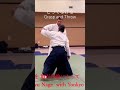 Wow    throw with te no uchi    te no uchi yonkyonage   aikido