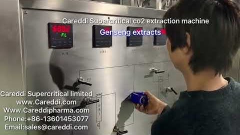 Genseng extracted by Careddi Supercritical co2 extraction machine