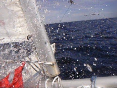 Ep. 002 We Are Water, Dart 18