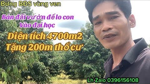 Gia đình cần bán gấp lô đất vườn trái cây sầu riêng thái để lô con vào đại học 
