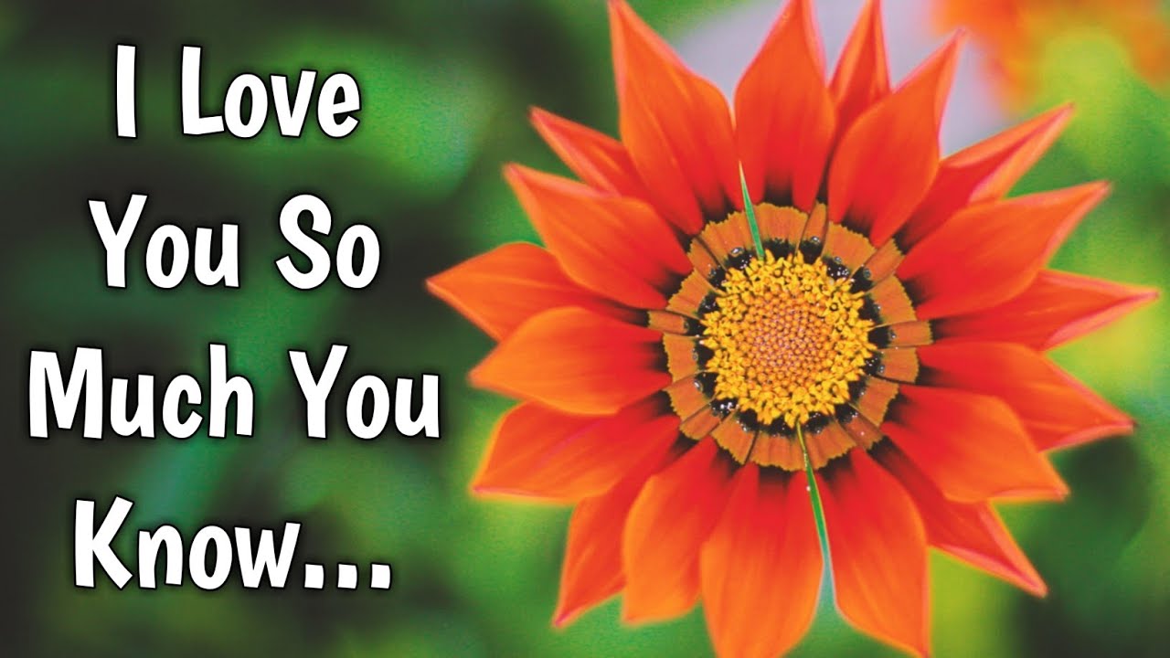 I Love You So Much You Know