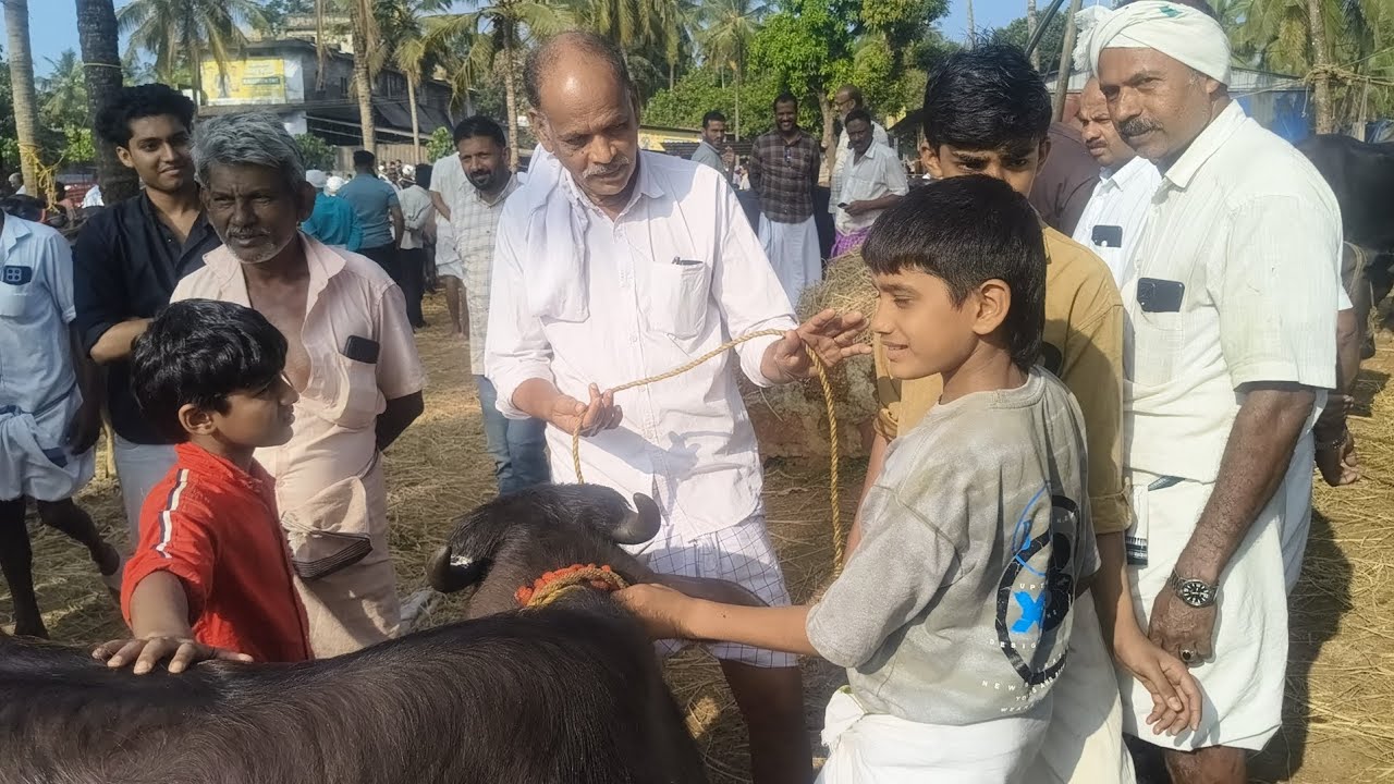 ചട്ടിപ്പറമ്പ് ചന്തയിൽ ഉണ്ടായ ഒരു അടിപൊളി കച്ചവടം മലപ്പുറം മാനു കാക്കയും വൈറൽ മുത്തു മോനും സംഭവമായി 