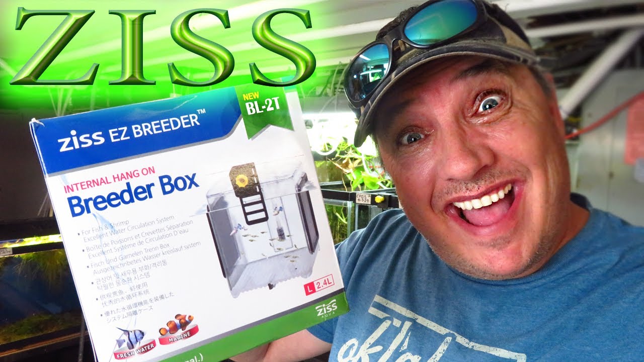 ZISS BL-2T BREEDER BOX (HANDS ON REVIEW) - YouTube
