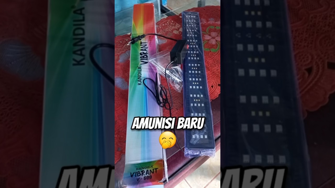 Kandila Vibrant