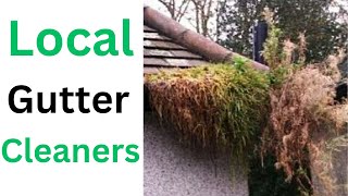 Local Gutter Cleaners