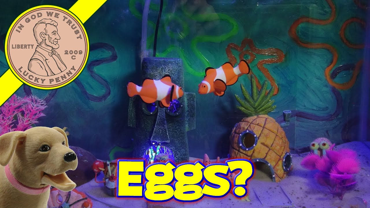 Enter The Yowie Surprise Chocolate Eggs Contest! - YouTube