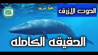 الحقيقه الكامله وراء لعبة الحوت الازرق و لعبة مريم مع احمد يونس 2018