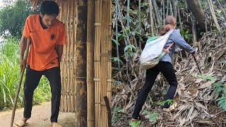 Homeless man treat foot pain with wild medicinal plants, Woman picking bamboo shoots to sell