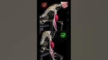 Common mistake: Lack of stabilization of the scapula during curlsWhen the biceps brachii contracts,