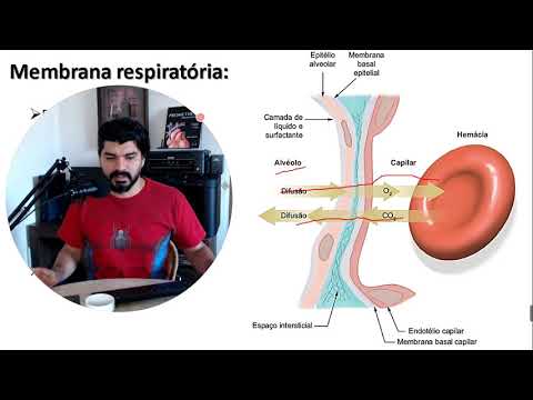 Vídeo: Diferença Entre Respiração Interna E Externa