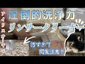 ペットのおしっこ汚れを徹底清掃！アイリスオーヤマのリンサークリーナー【うさぎの粗相にも最適】