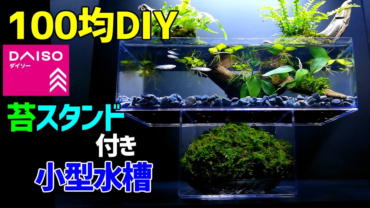 メダカの 苔スタンド付き小型水槽 作り方100均diy メダカ室内飼育 アートアクアリウム作成 How To Make A Tabletop Amazing Idea Aquarium Youtube