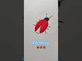 Lady Bug 🐞/ Drawing for kids #kids #youtubeshorts #ytshorts #kidsart #shorts