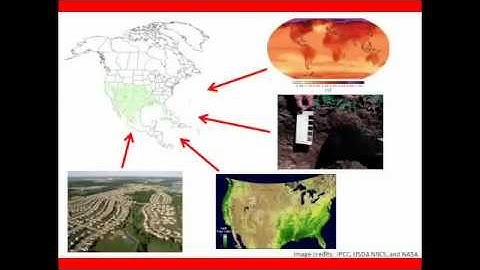 Modelling static and dynamic variables