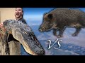 Wild Alligator vs Wild Boar {Catch Clean Cook} ft. Professional MMA fighter! Shawn Brown