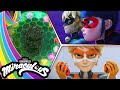 MIRACULOUS | 🐞 SHADOW MOTHS FALLE (Teil 2) - letzte Szene ☯️ | STAFFEL 4