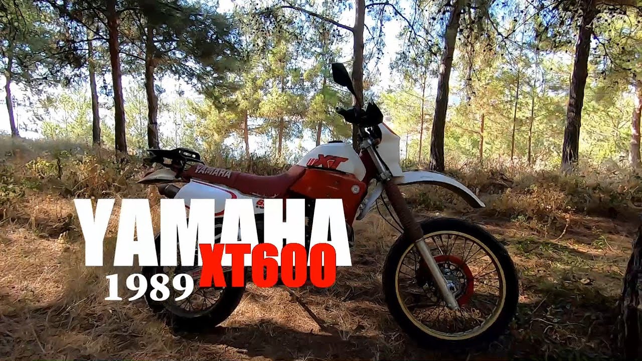 YAMAHA XT600 1989   KOKKINA FEGARIA CLASSIC
