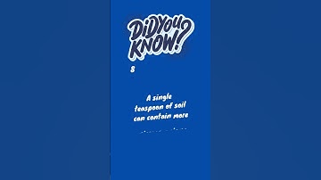 The Hidden World Beneath Our Feet: Microorganisms in Soil! #didyouknow