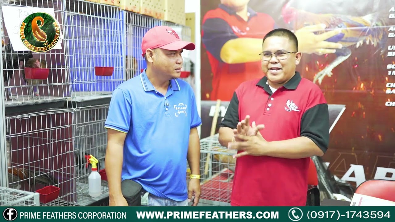 RYAN CUTORA OWNER/BREEDER "CUTORA FIREBIRD GAMEFARM"