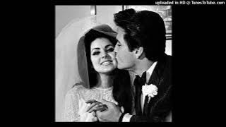 Elvis Presley - Until I found you (432hz) (AI)