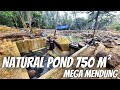 NATURAL POND MEGA MENDUNG FILTERNYA SEGEDE RUMAH BRO !!!!!