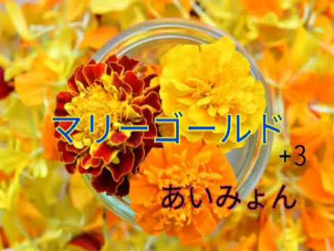 マリーゴールド/あいみょん ［+3キー］