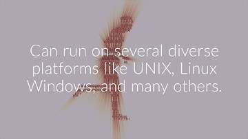 Factor that made PHP so Popular | PHP Web Development Company USA