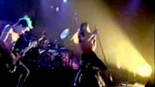 Red Hot Chili Peppers - Sexy Mexican Maid - Live at Long Beach Arena