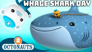 ​@Octonauts    Happy International Whale Shark Day  | 60 Mins+ Compilation
