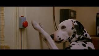 101 dalmatians (1996) - pongo's morning routine