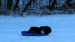 Claire Sledding 2010.AVI
