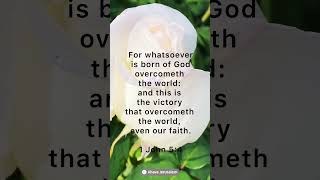 The Power of Faith #faith #overcome #ahavajerusalem