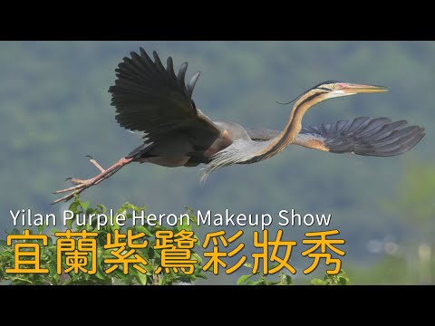 宜蘭紫鷺彩妝秀4K| Yilan Purple Heron Makeup Show