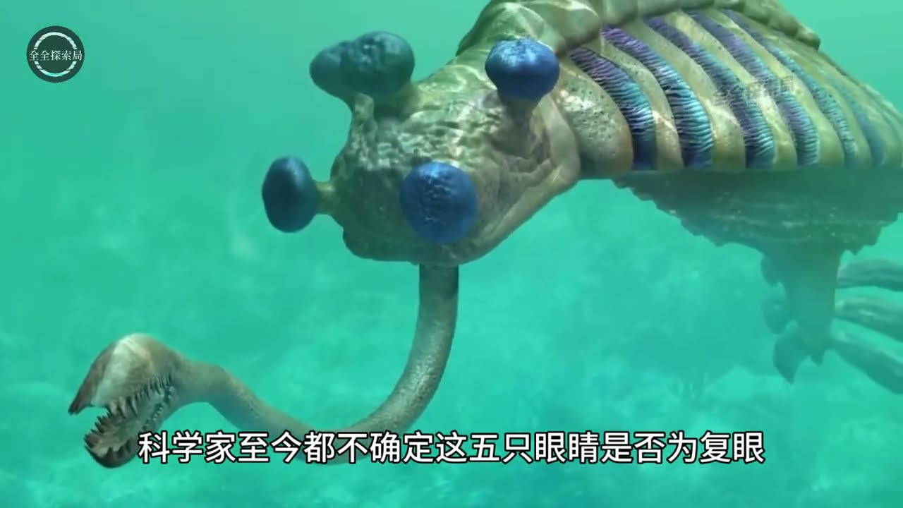 欧巴宾海蝎：脸上长着5只眼睛的怪物，却颠覆了人类对演化的认知#古生物 #科普 #知识渊博 #生物 #science #百科密码 #animals