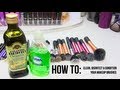 HOW TO: Deep Clean, Disinfect & Condition Your Makeup Brushes