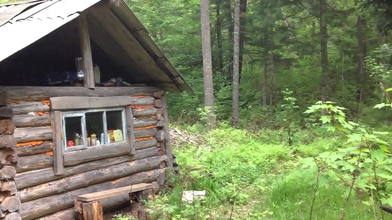 #08 Приморская тайга! Окрестности тайги! Домик в лесу! Избушка в тайге ...
