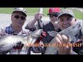 CATFISH, LIMB LINES AND GOLDFISH ON THE MISSISSIPPI