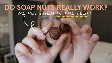 Are soap nuts sustainable?